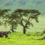 ExperiencePlus! Unveils Tanzania Cycling Adventure