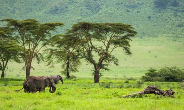 ExperiencePlus! Unveils Tanzania Cycling Adventure