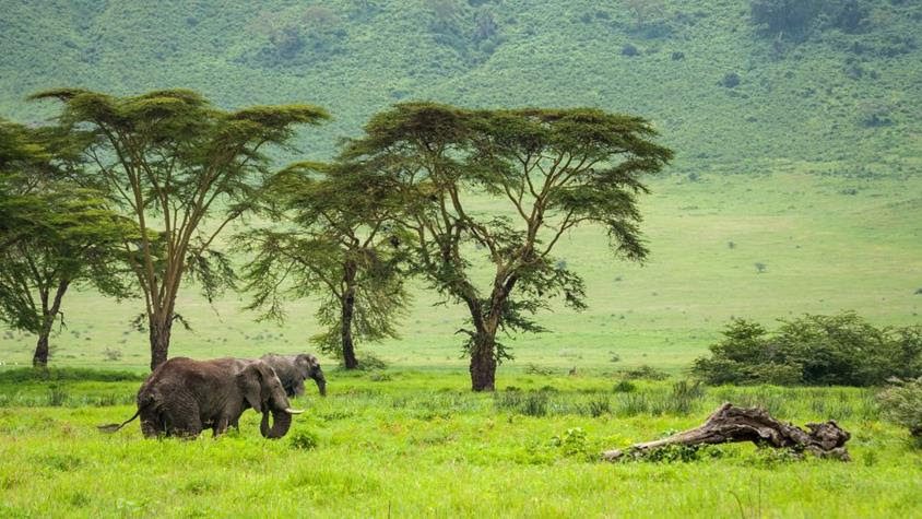 ExperiencePlus! Unveils Tanzania Cycling Adventure
