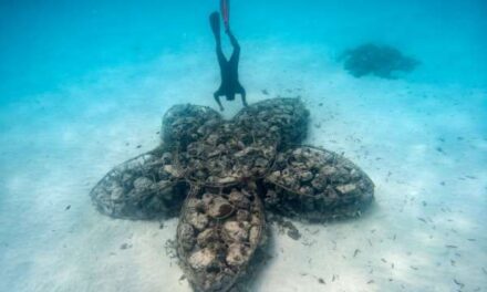 Escape to Mnemba Island This World Ocean Day