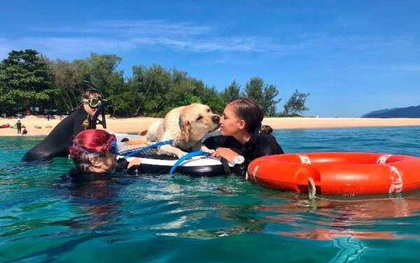 Cocky Guides Powers Inclusive Tourism at ATE 2026