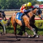 Darwin Cup Meets The Ghan in Epic Rail Journey