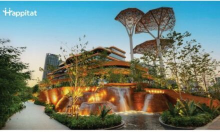 Happitat Brings Forest Picnic Magic Ahead of Q3 Launch