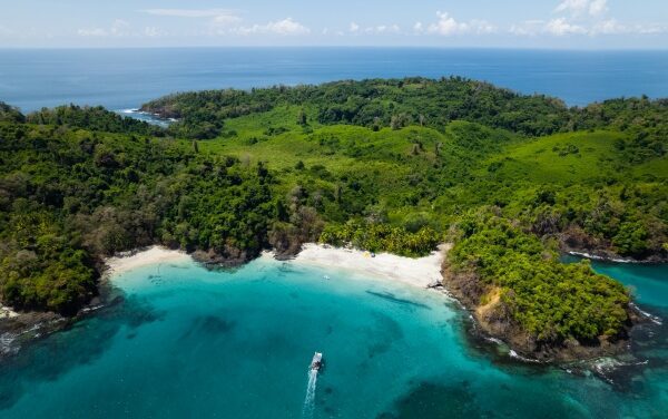Islas Secas Unveils Whale-Focused Marine Safari