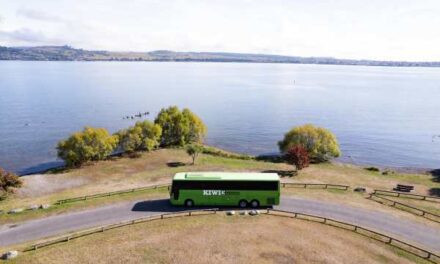 Kiwi Experience Serves Up New Zealand’s “Cheese Roll” Adventure