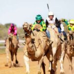 Outback Camel Trail Returns Across 5 Queensland Towns