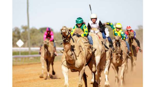Outback Camel Trail Returns Across 5 Queensland Towns