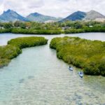Four Seasons Mauritius Unveils Mangrove Eco Experience