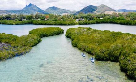 Four Seasons Mauritius Unveils Mangrove Eco Experience