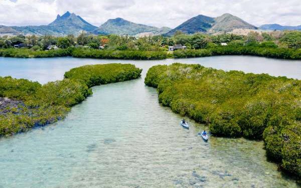 Four Seasons Mauritius Unveils Mangrove Eco Experience