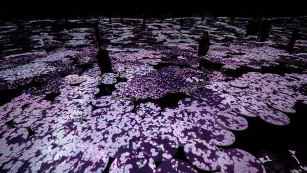 teamLab Borderless Ranks Among World’s Top 100 Museums