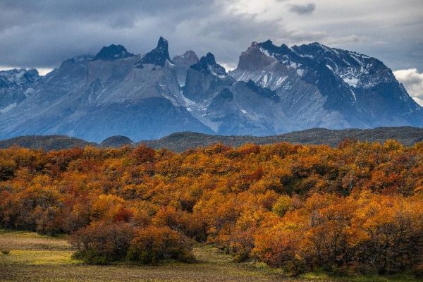 Patagonia Autumn Photography Journey Unveiled