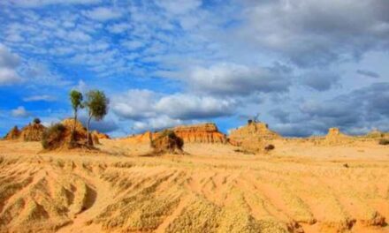New Outback Safari Uncovers NSW’s Wild Desert Heart