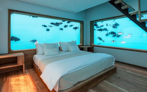 Pemba’s New Underwater Room Takes Ocean Tourism Deeper
