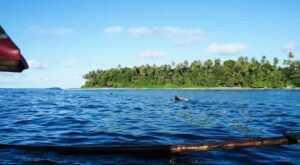 Paddling into Simeulue’s uncrowded waves beneath lush coastline. Image by Alex Benaud