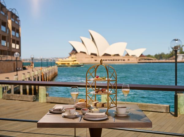 Park Hyatt Sydney Serves Up Tim Tam Tea Magic