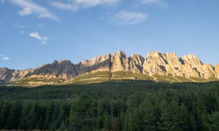 Rocky Mountaineer Final Call Sale Now On