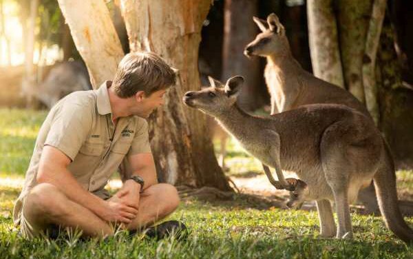 Royal Joey! Irwin Reveals Kangaroo Named by Wales Family