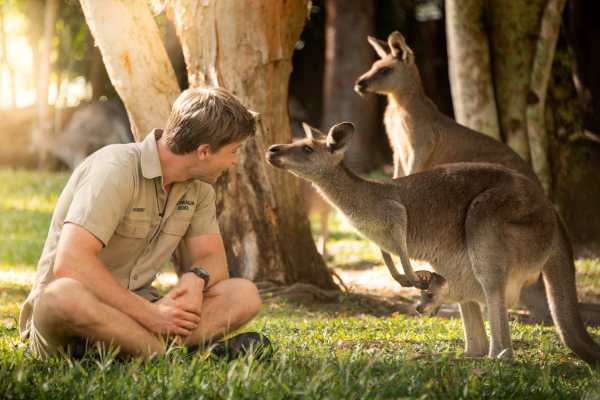 Royal Joey! Irwin Reveals Kangaroo Named by Wales Family