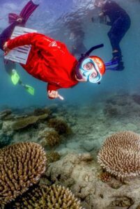 Rosie Bullen Reef