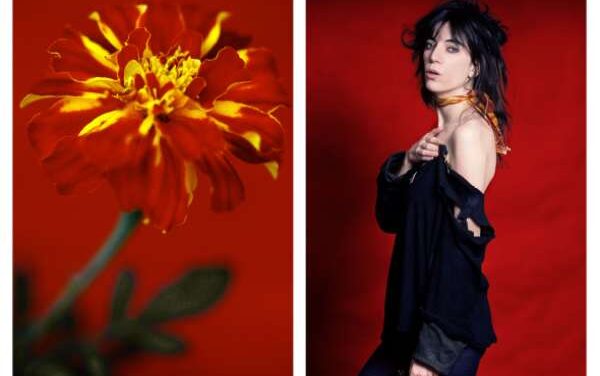 Selby Gardens Unveils Lynn Goldsmith Summer Showcase
