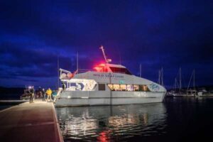 Tasmanian Wild Seafood Adventures - Sea To Sky Night Cruise