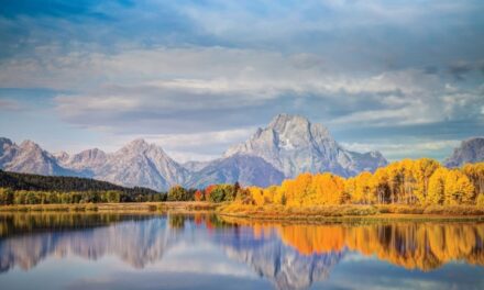 Tauck Expands 2027 Tours with Iconic US Parks