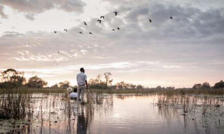 Quiet Luxury Safaris: Africa’s New Travel Trend