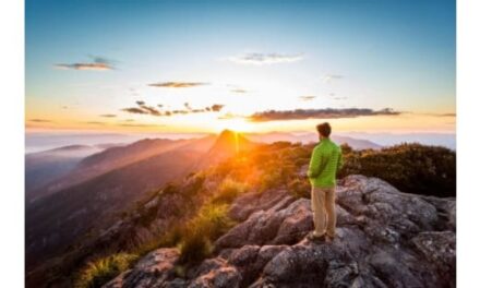 Scenic Rim’s New Guide Puts Hidden Gem on Map