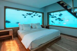 The submerged bedroom of the Underwater Room at The Manta Resort features floor-to-ceiling ocean windows on three sides, offering unobstructed views of the surrounding coral reef and marine life.
