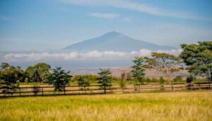 The-view-from-Simba-Farm-Lodge-in-the-foothills-of-Kilimanjaro-photo-courtesy-of-Simba-Farm-Lodge