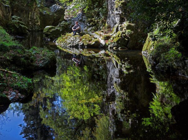 Tollymore Forest Park, County Down