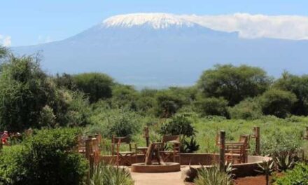 Tourvest’s Tulia Opens East Africa Safaris to More Travellers