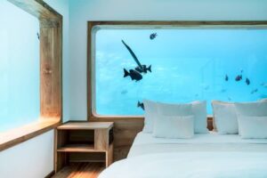 Tropical fish swim past the bedroom window of the Underwater Room at The Manta Resort, where guests sleep three metres below the surface of the Indian Ocean.