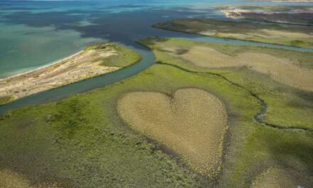New Caledonia Launches Holiday Deals in New Brand Push