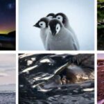 Beaker Street Science Photography Prize Finalists Revealed