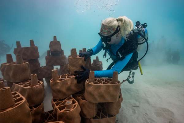 Anantara Dhigu Backs 3D Reef Restoration Project
