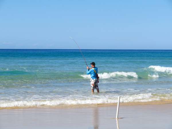 K’gari Reels In Anglers for Winter Tailor Season