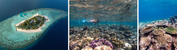 A full calendar of ocean moments from June through July1