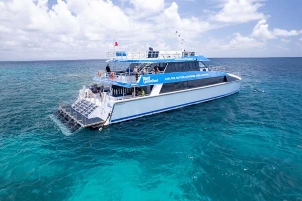 Reef Unlimited Launches 2026 Cairns Whale Watching