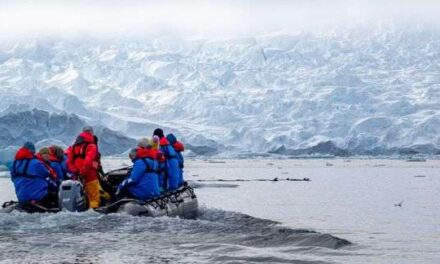 Expert Advice Tops Expedition Travel Choices