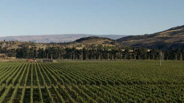 Beechmont Estate Hosts Exclusive Winter Wine Dinner