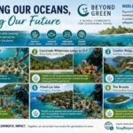 Beyond Green Champions Coral Reef Conservation Worldwide