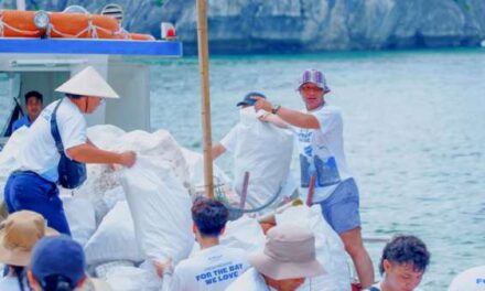 Bhaya Cruises Removes 600kg of Waste from Ha Long Bay