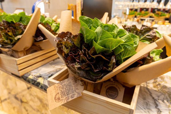 Centara Grand at CentralWorld Celebrates World Environment Month with 'Live Proudly, Bloom Freely'