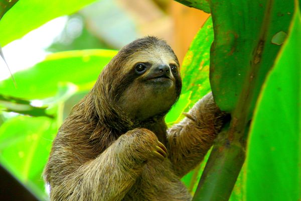 Chimu Adventures Unveils New South America Cruises