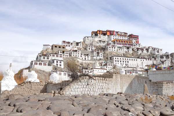 Adventure World Unveils Rare India Snow Leopard Quest
