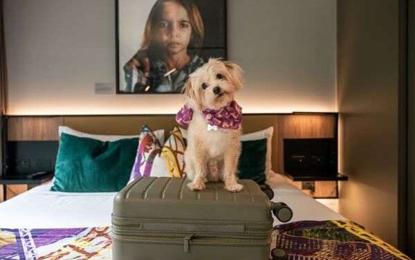Crystalbrook Vincent Unleashes Brisbane’s Ultimate Pup Stay