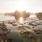 Vietnam’s New MICE Hotels Shine Near UNESCO Sites