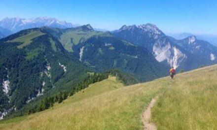 Discover Green Slovenia and Save on Scenic Walks
